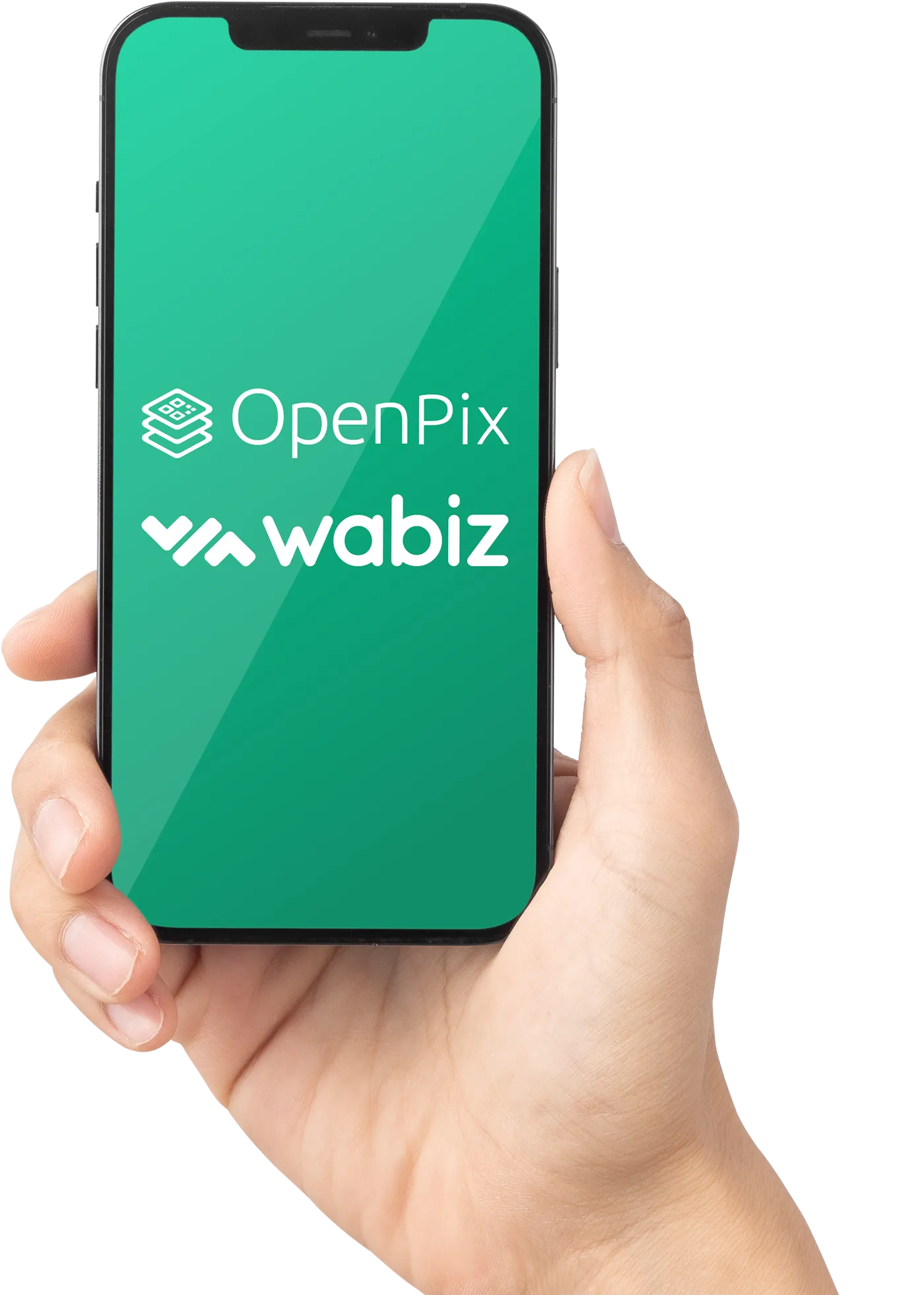 Woovi + Wabiz
